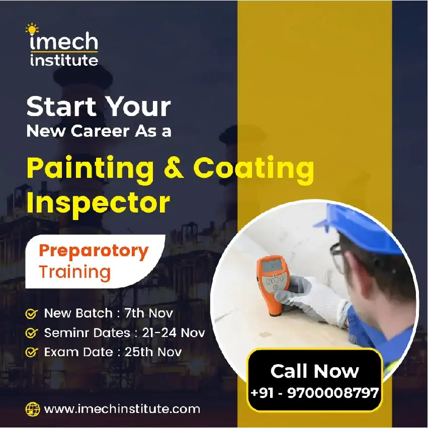 Painting inspector